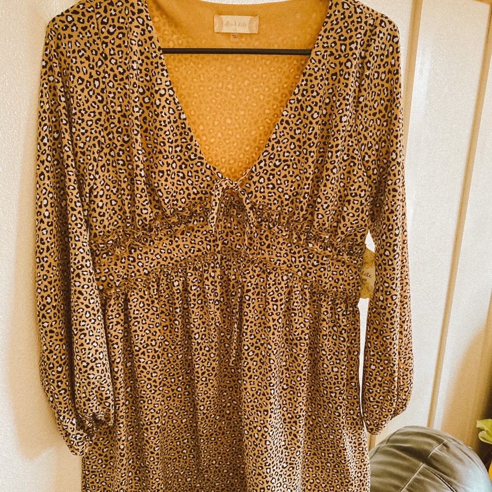 Altar’d State Leopard Print Dress